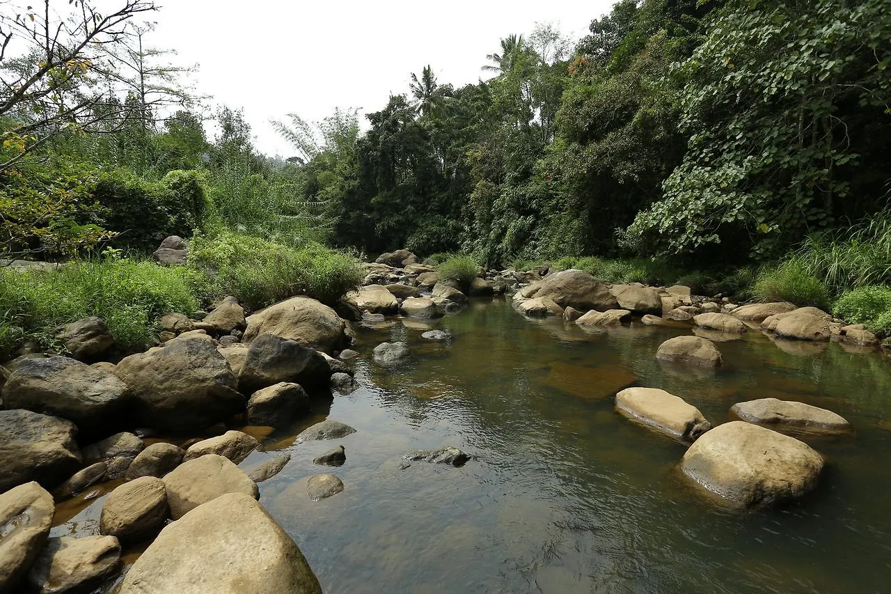Ayursakthi Riverdale Munnar 3*,