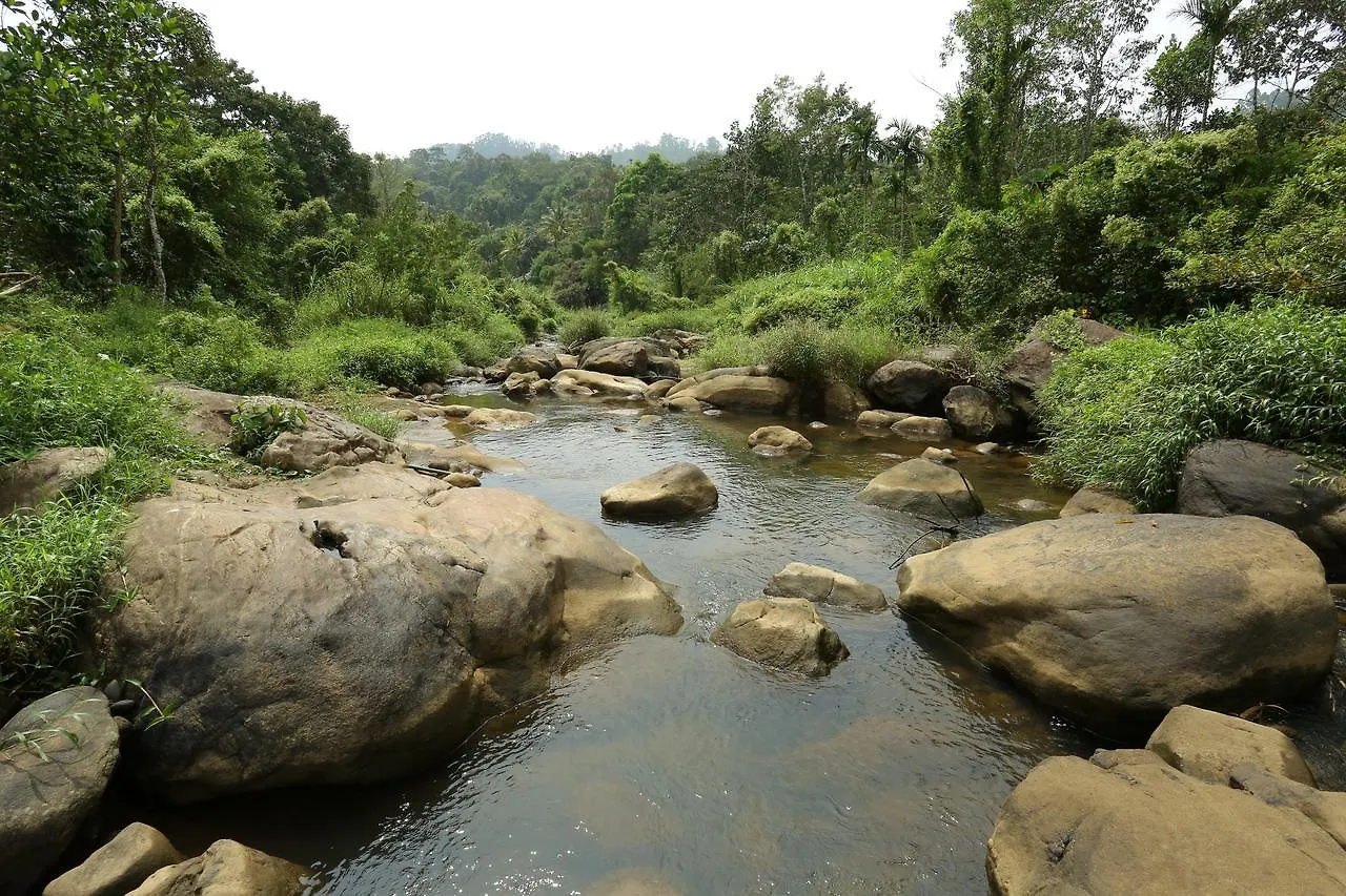 Ayursakthi Riverdale Munnar